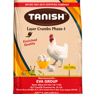 Layer Crumbs Phase-1