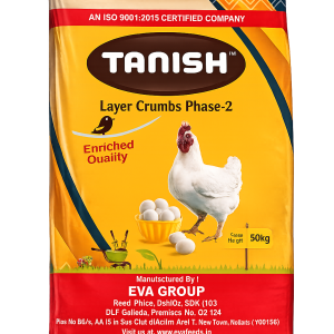 Layer Crumbs Phase-2