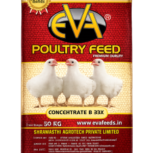 Concentrate B 33X