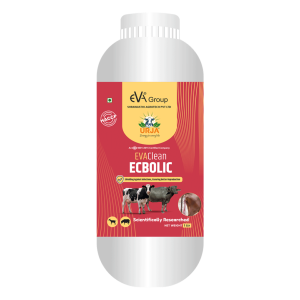 EVACLEAN – ECBOLIC Uterine Cleanser & Reproductive Support Supplement